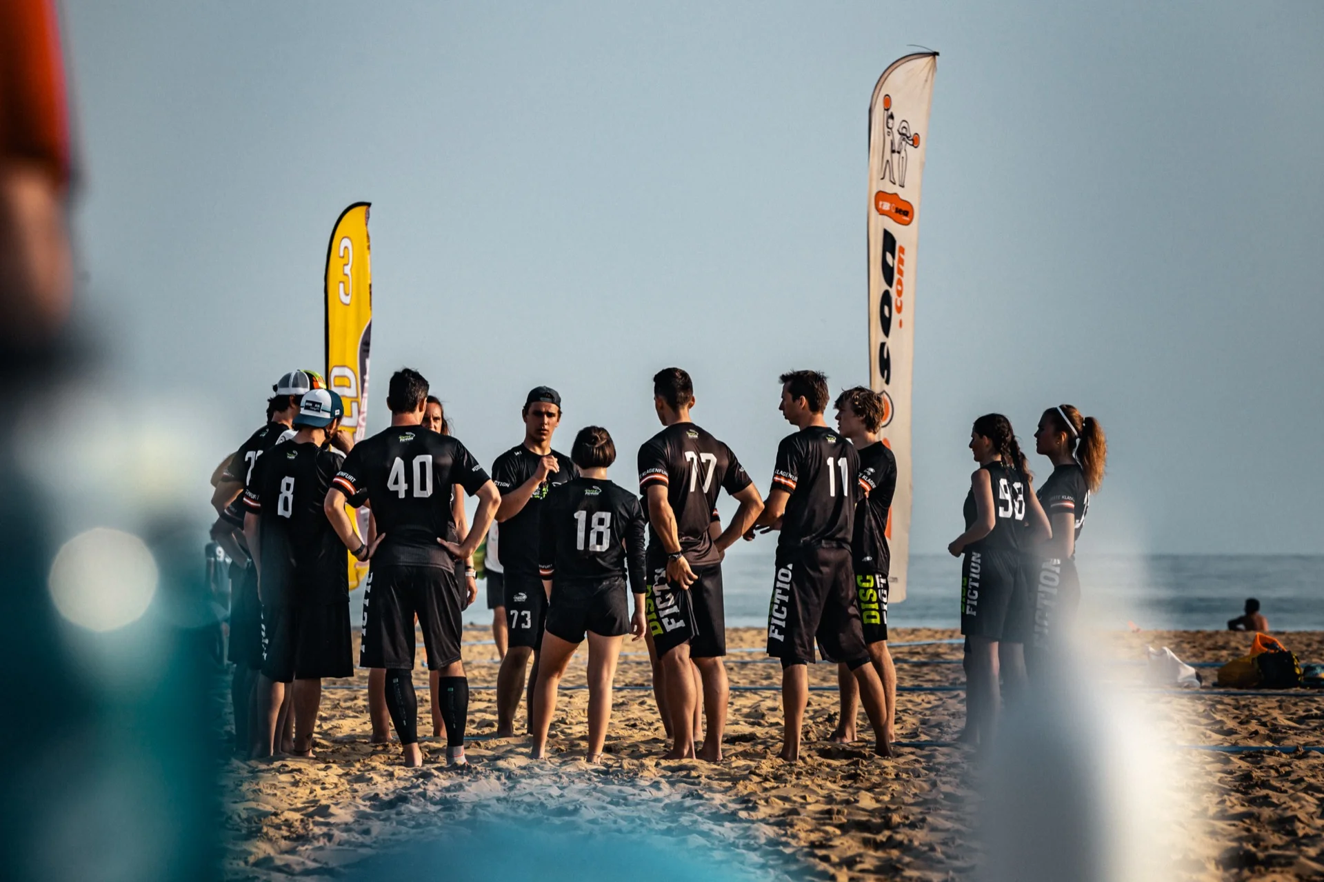 Disc Fiction Ultimate Frisbee